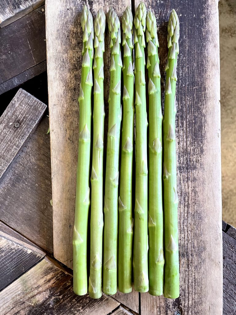 さぬきのめざめ（香川県丸亀市産アスパラガス）入荷しました 西喜商店